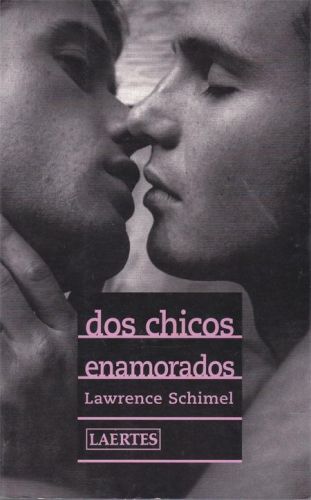 Portada del libro de DOS CHICOS ENAMORADOS