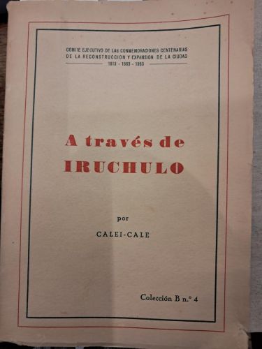 A TRAVES DE IRUCHULO 